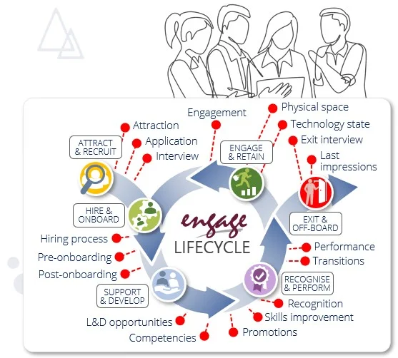 Employee lifecycle surveys