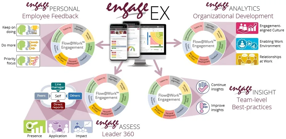 Holistic engagement approach