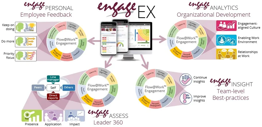 Holistic engagement approach