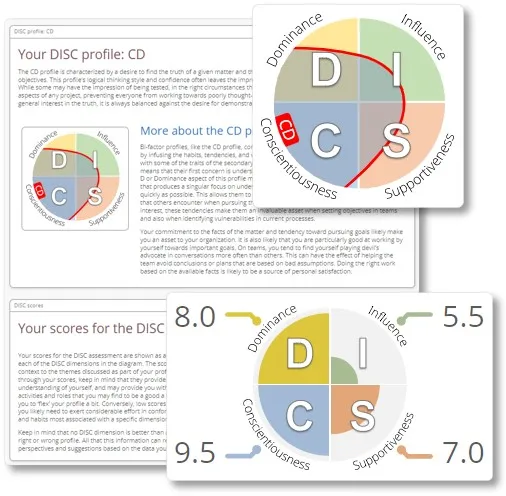 DISC personality assessment