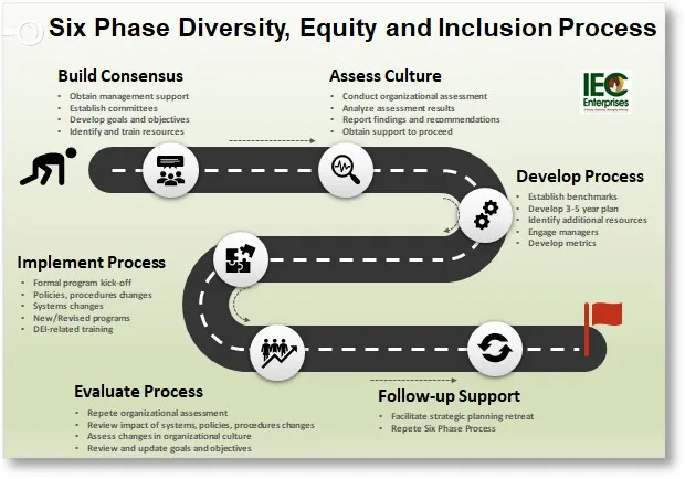 DEI Six Phase Process