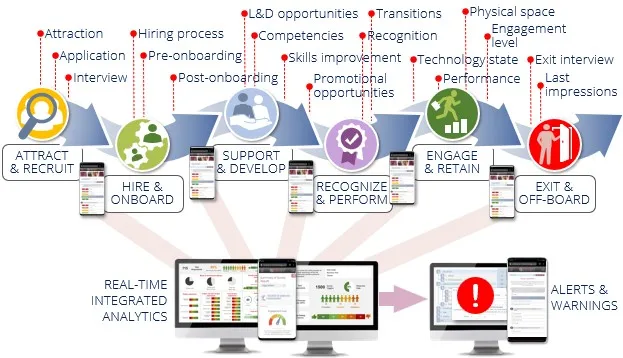 Employee lifecycle pulses