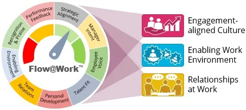 organizational engagement observations