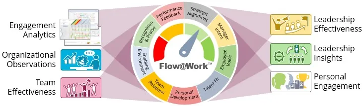 engagement reports summary